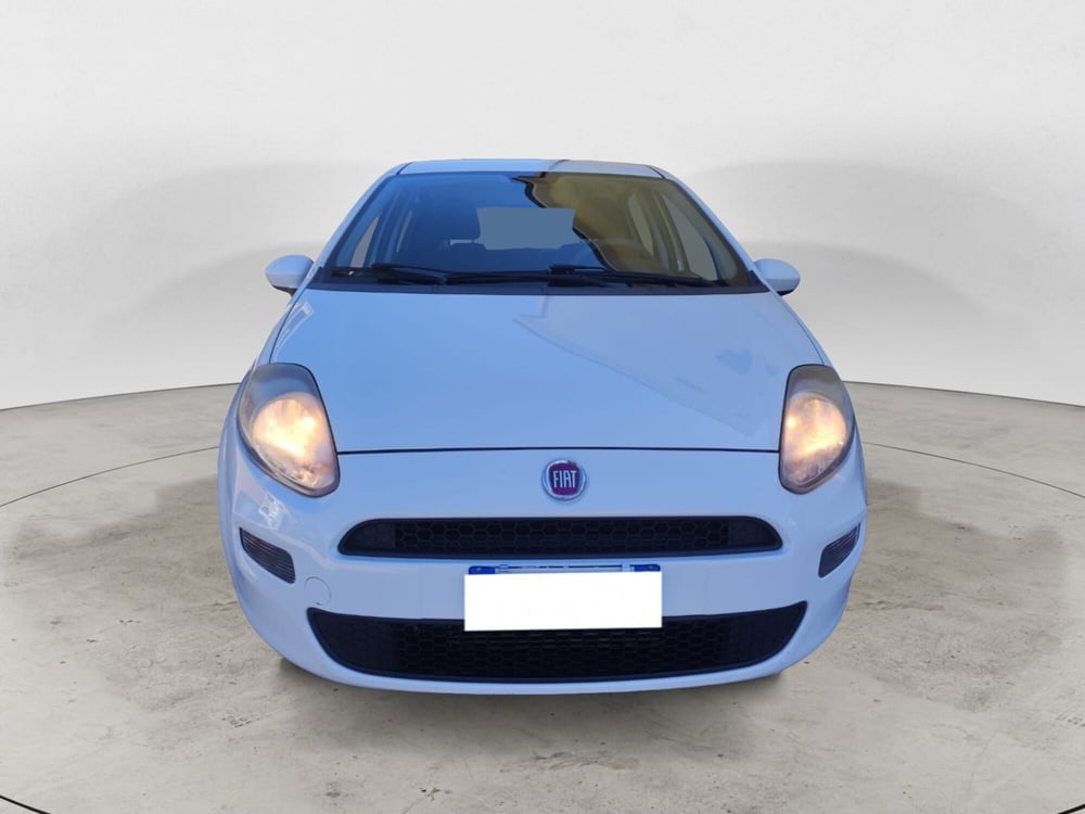 Fiat Punto usata a Salerno (5)