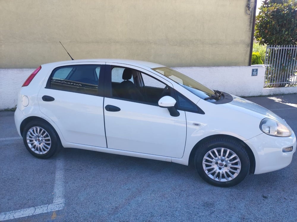 Fiat Punto usata a Salerno (8)