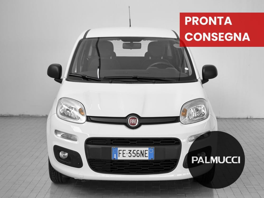 Fiat Panda usata a Prato (2)