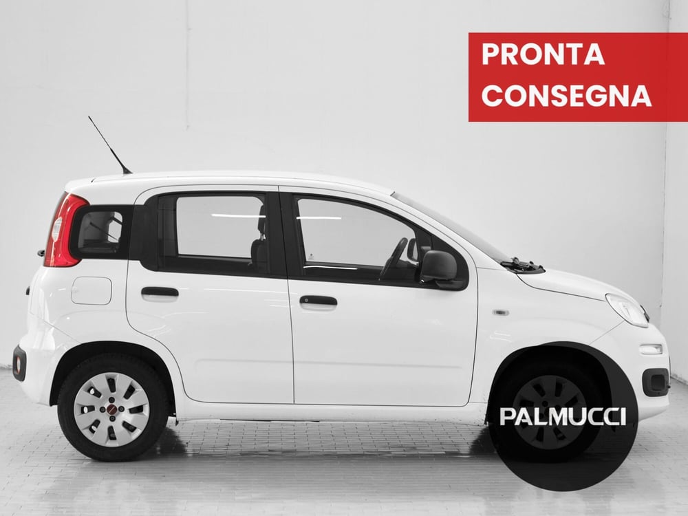 Fiat Panda usata a Prato (5)