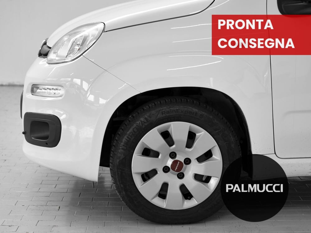 Fiat Panda usata a Prato (6)