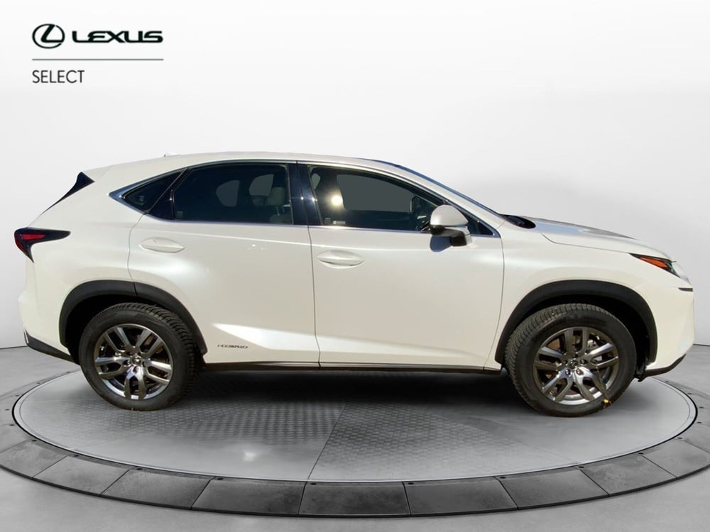 Lexus NX usata a Perugia (15)