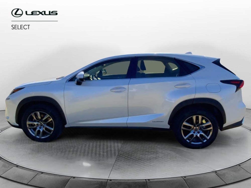 Lexus NX usata a Perugia (3)