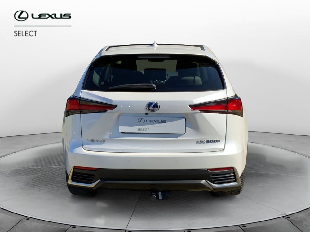 Lexus NX usata a Perugia (5)