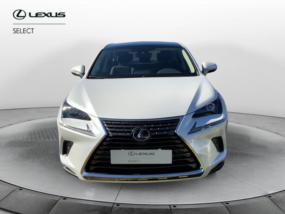 Lexus NX usata a Perugia (6)