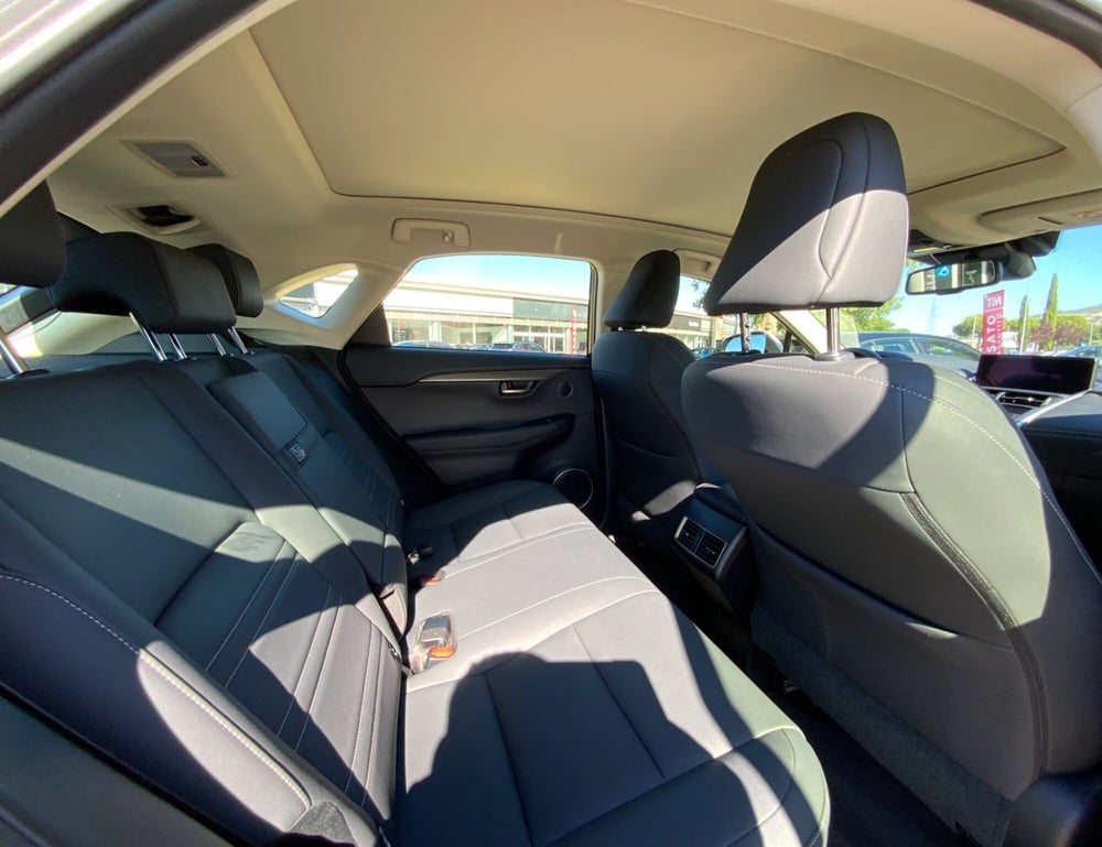 Lexus NX usata a Perugia (9)