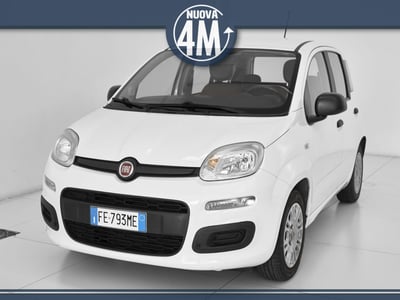 Fiat Panda 1.2 EasyPower Easy del 2016 usata a Prato