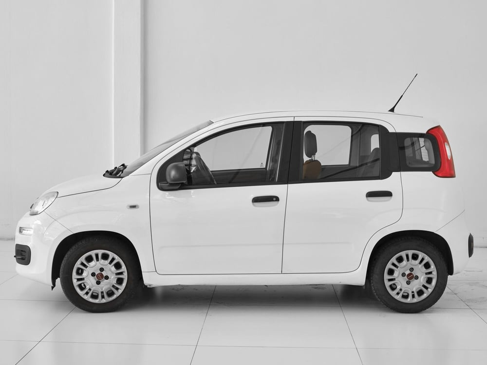 Fiat Panda usata a Prato (3)