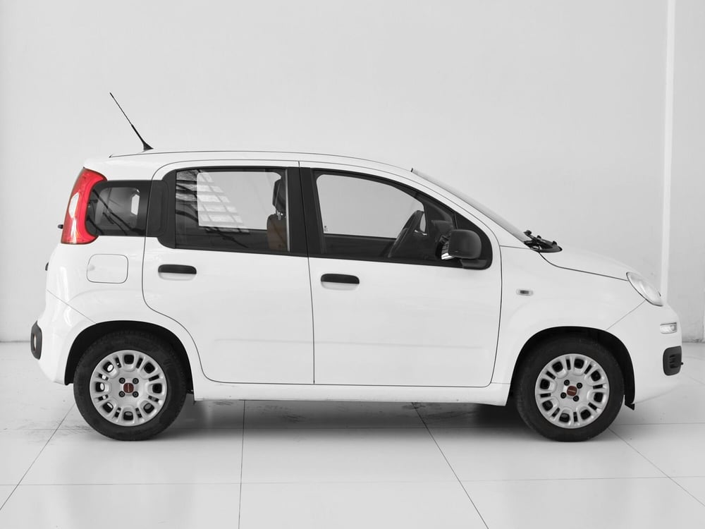 Fiat Panda usata a Prato (6)