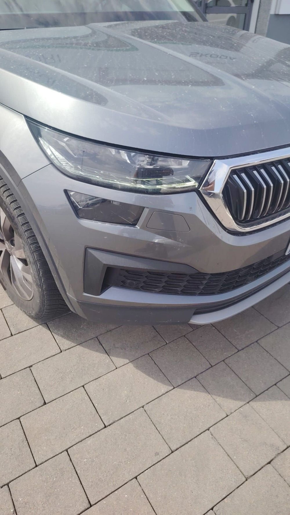 Skoda Kodiaq usata a Catanzaro (8)
