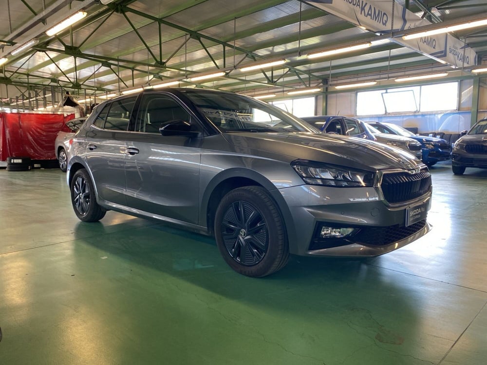 Skoda Fabia usata a Reggio Calabria (7)