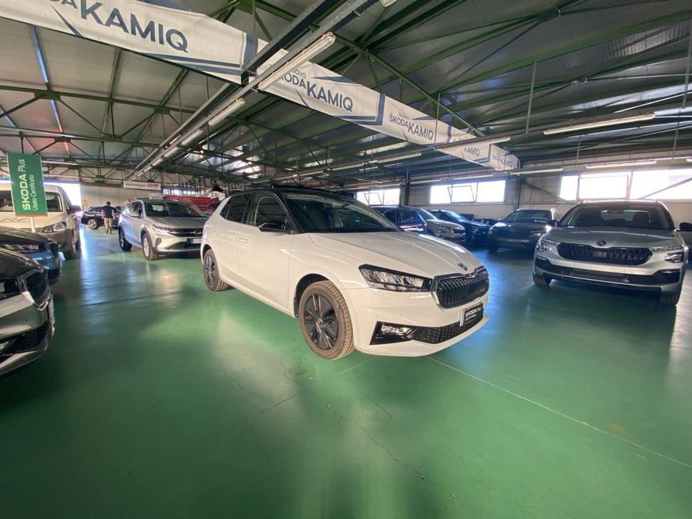 Skoda Fabia usata a Reggio Calabria (8)