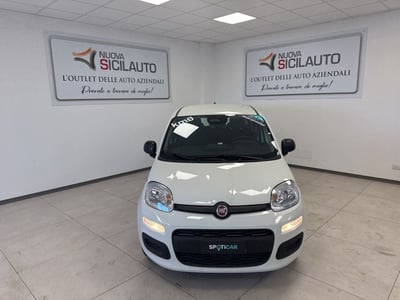 Fiat Panda 1.0 firefly hybrid s&amp;s 70cv 5p.ti nuova a Carini