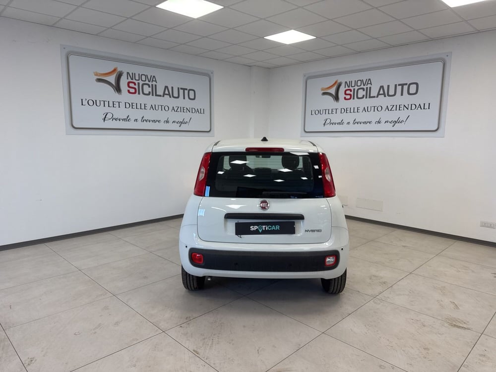 Fiat Panda nuova a Palermo (16)