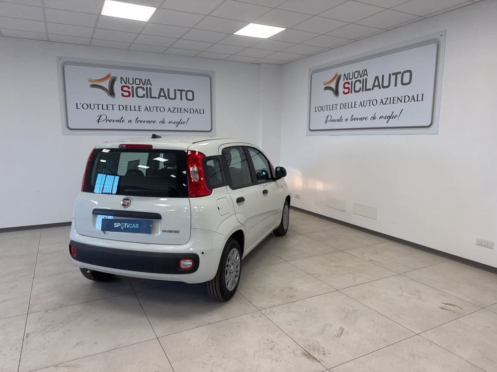 Fiat Panda nuova a Palermo (17)