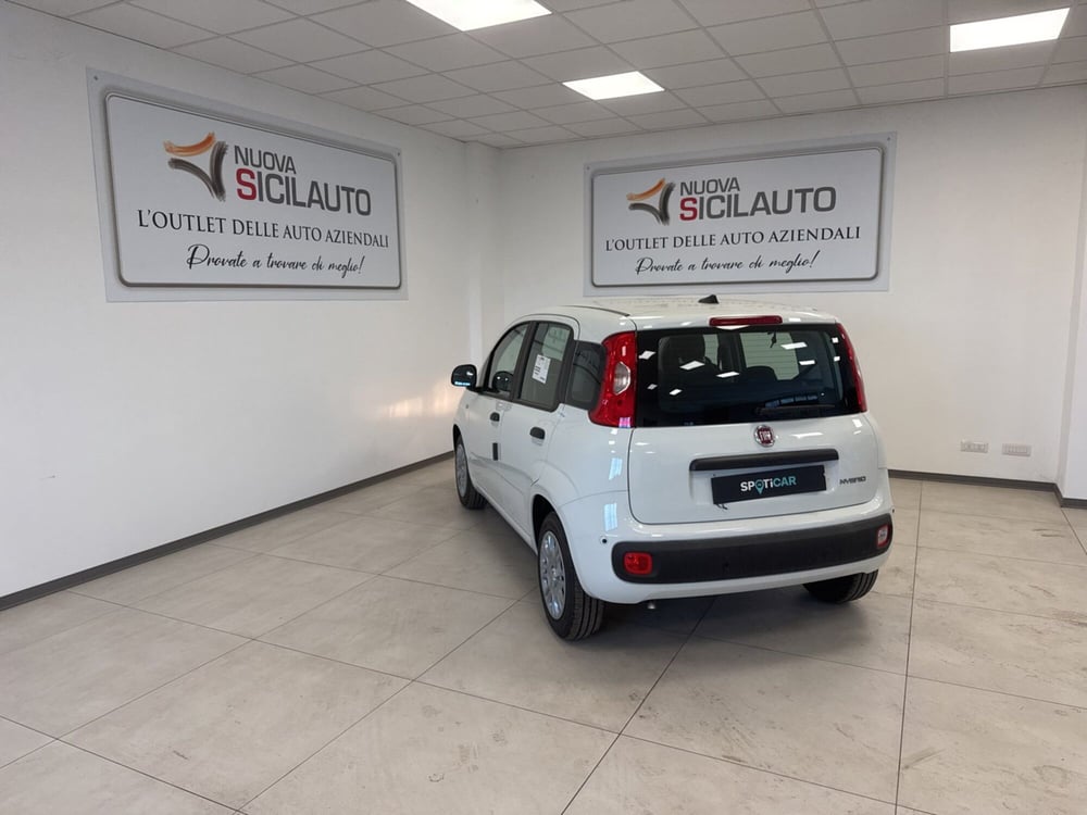 Fiat Panda nuova a Palermo (18)