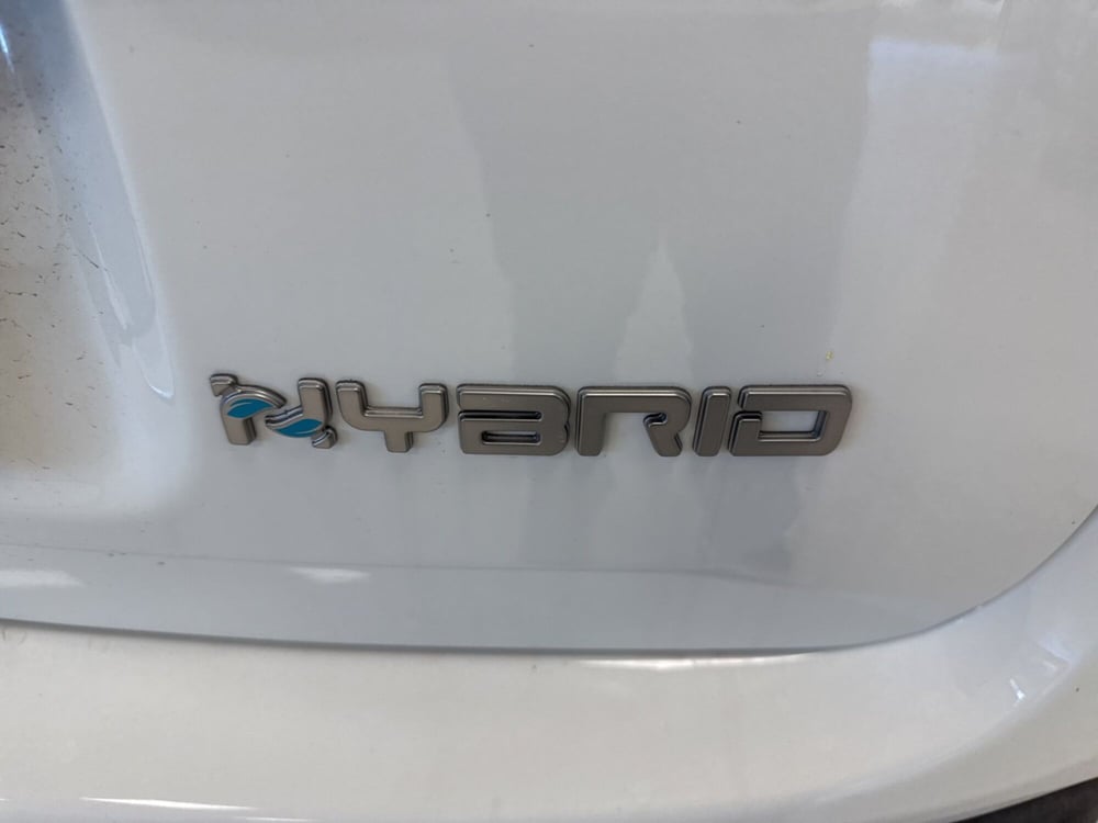 Fiat Panda nuova a Palermo (20)