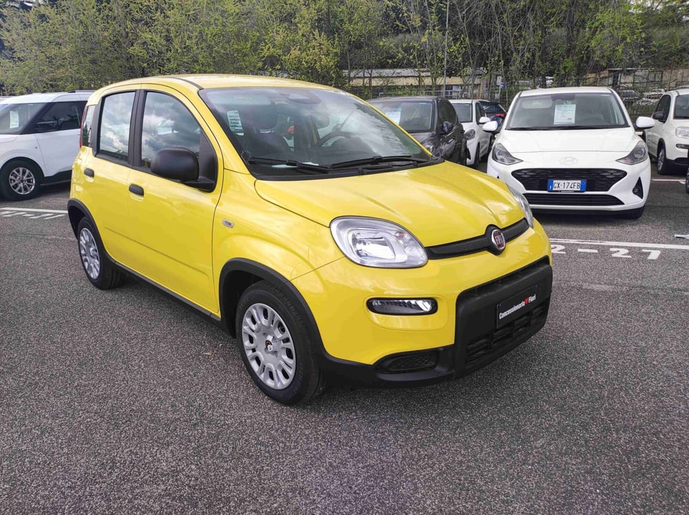 Fiat Panda nuova a Latina (2)