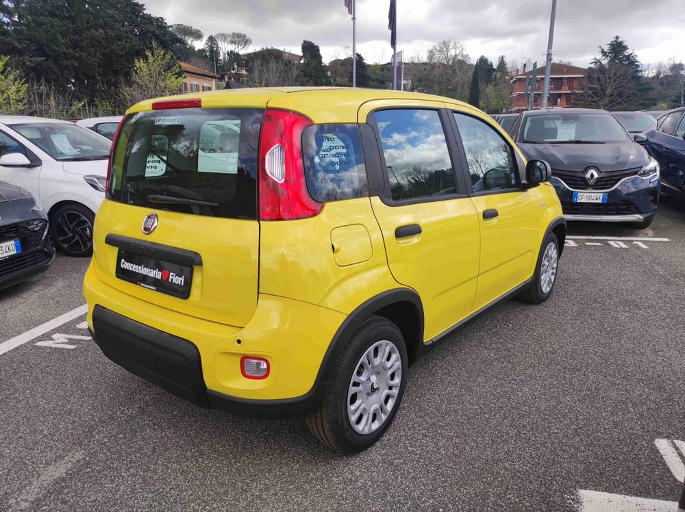 Fiat Panda nuova a Latina (3)