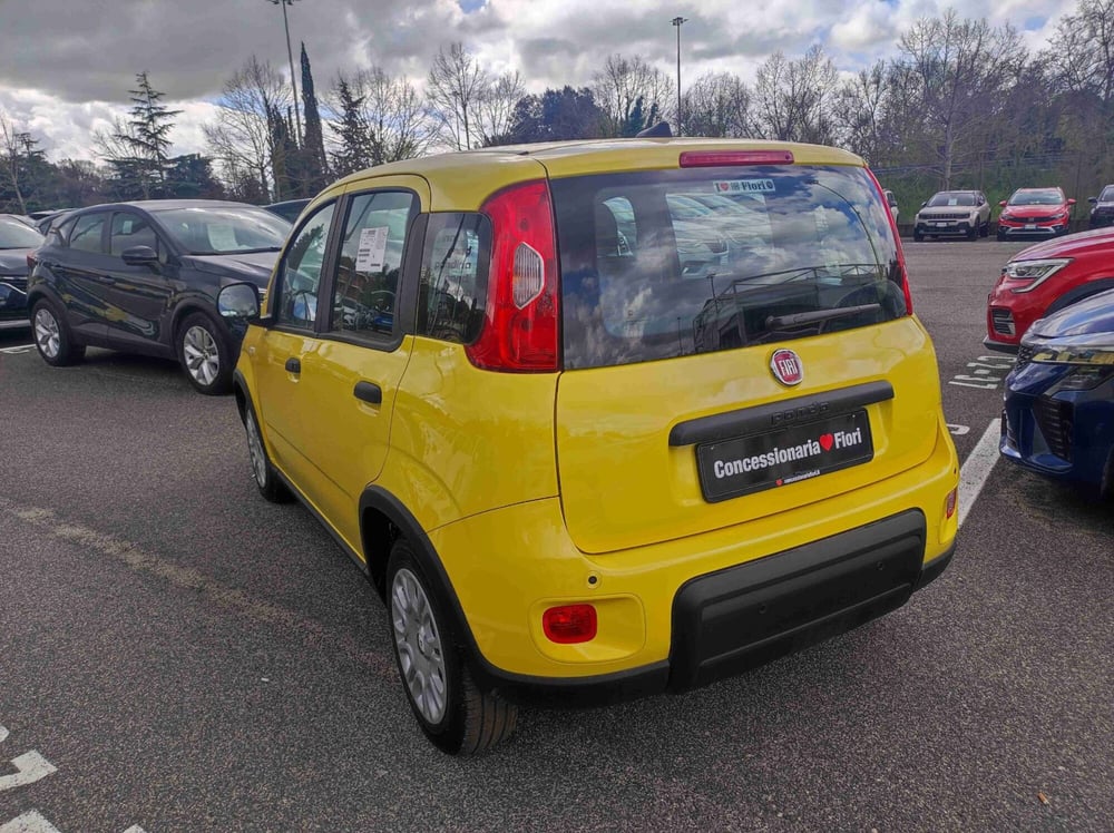 Fiat Panda nuova a Latina (4)