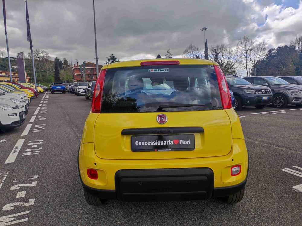 Fiat Panda nuova a Latina (5)