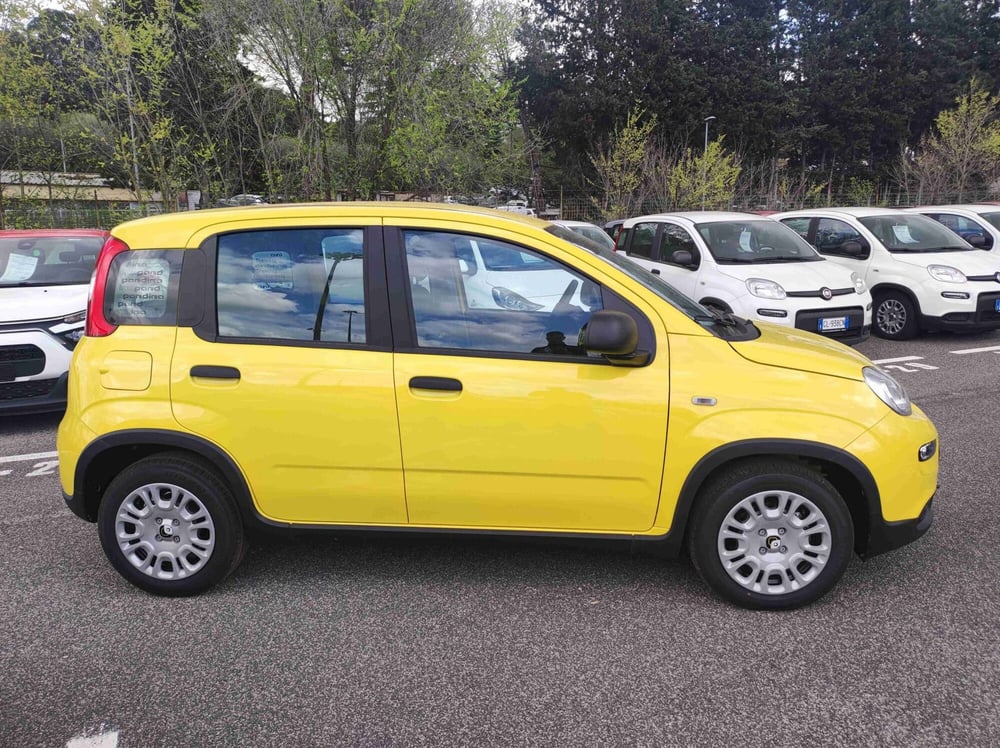 Fiat Panda nuova a Latina (6)