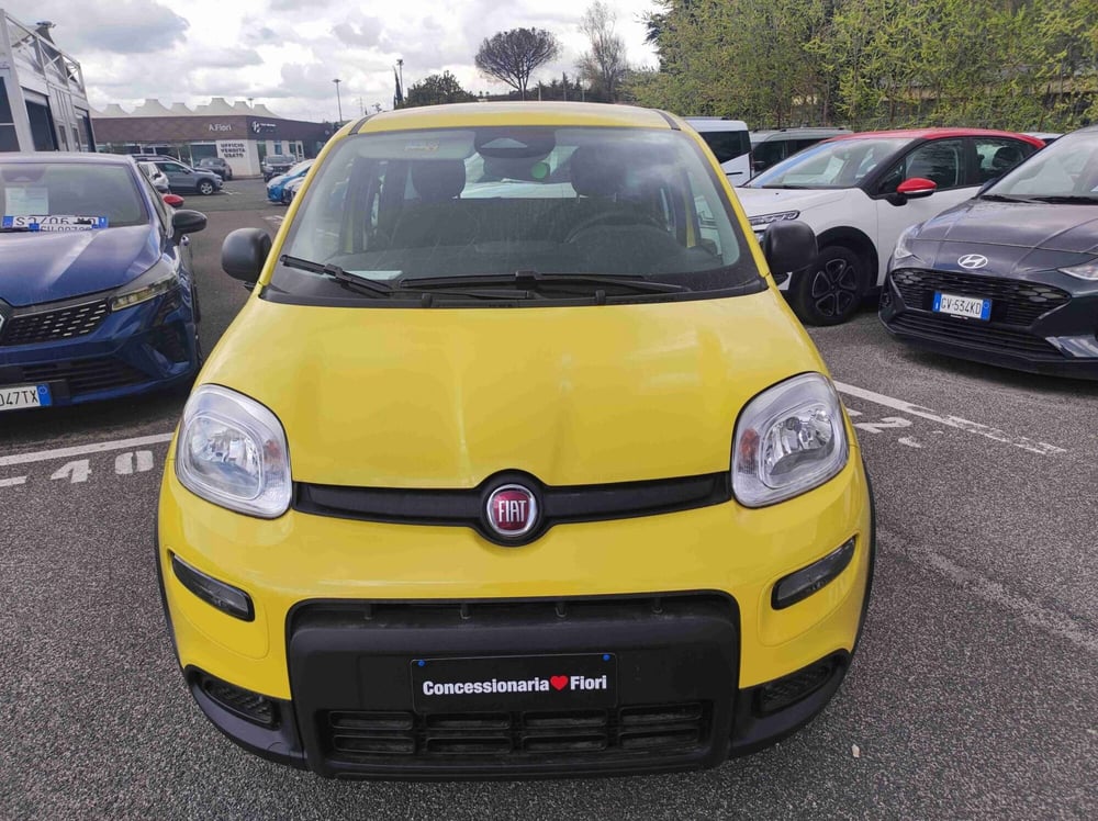 Fiat Panda nuova a Latina (7)