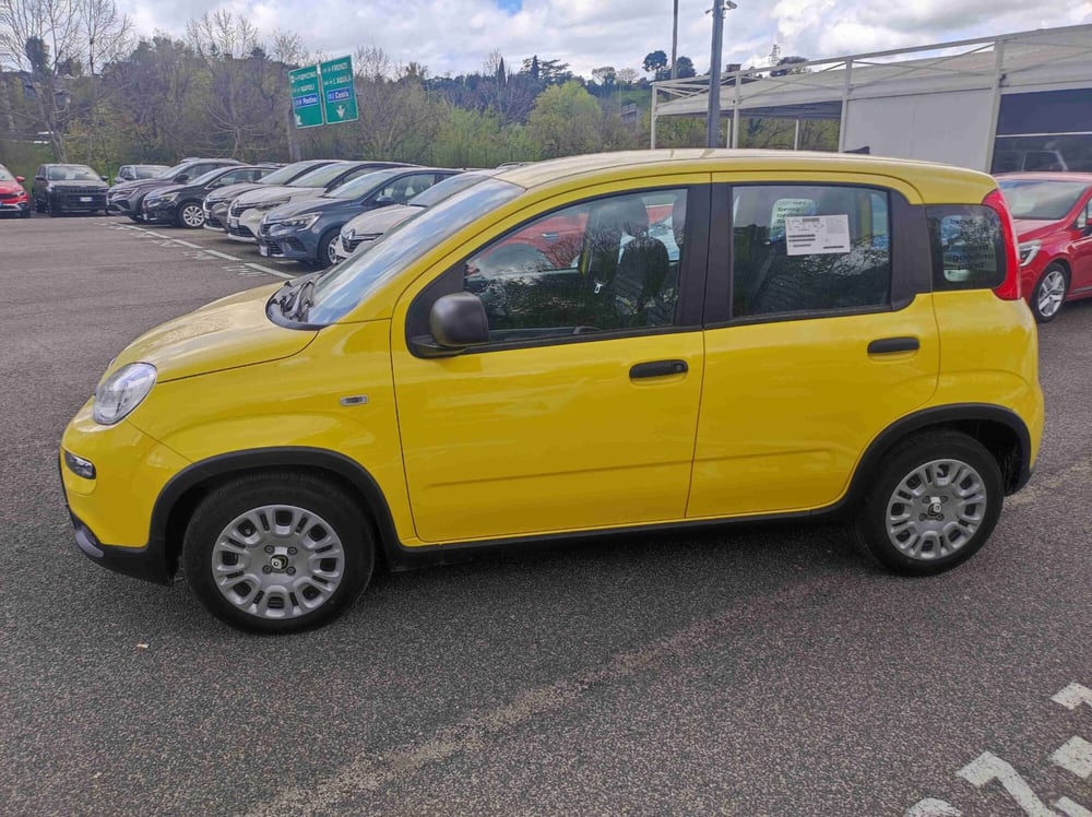 Fiat Panda nuova a Latina (8)