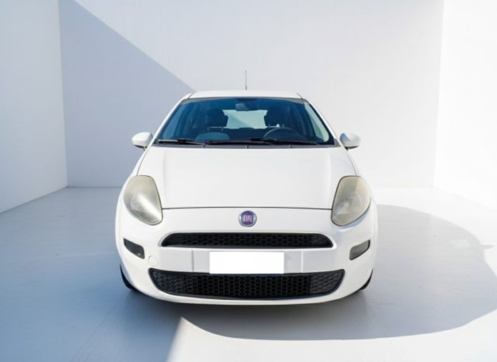 Fiat Punto Evo usata a Firenze (2)