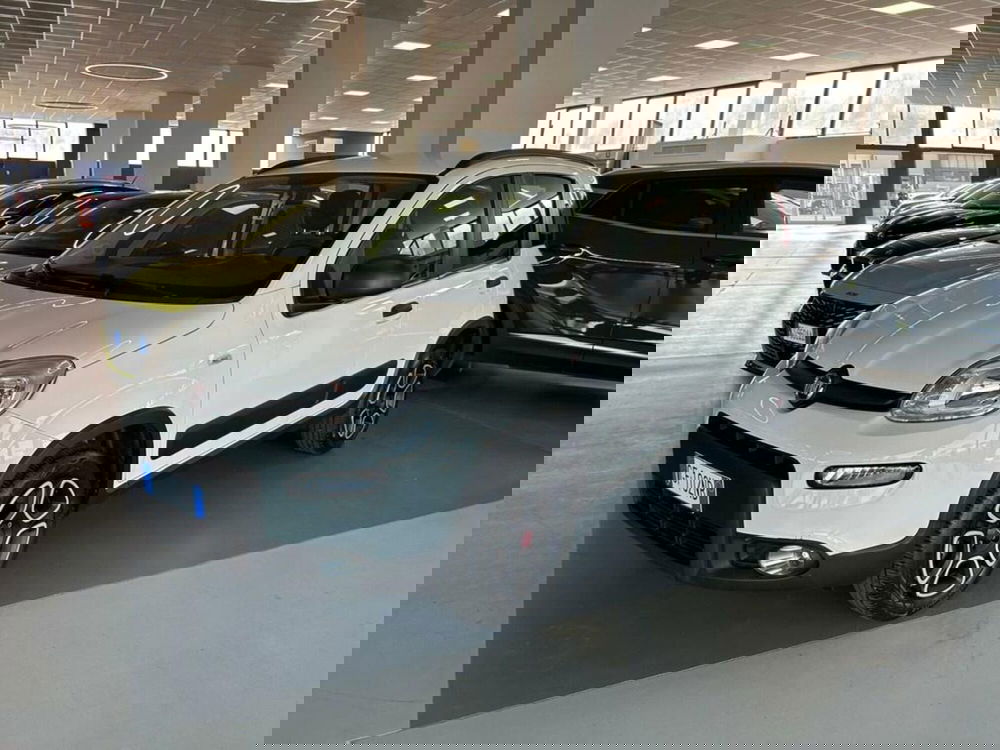 Fiat Panda usata a Piacenza