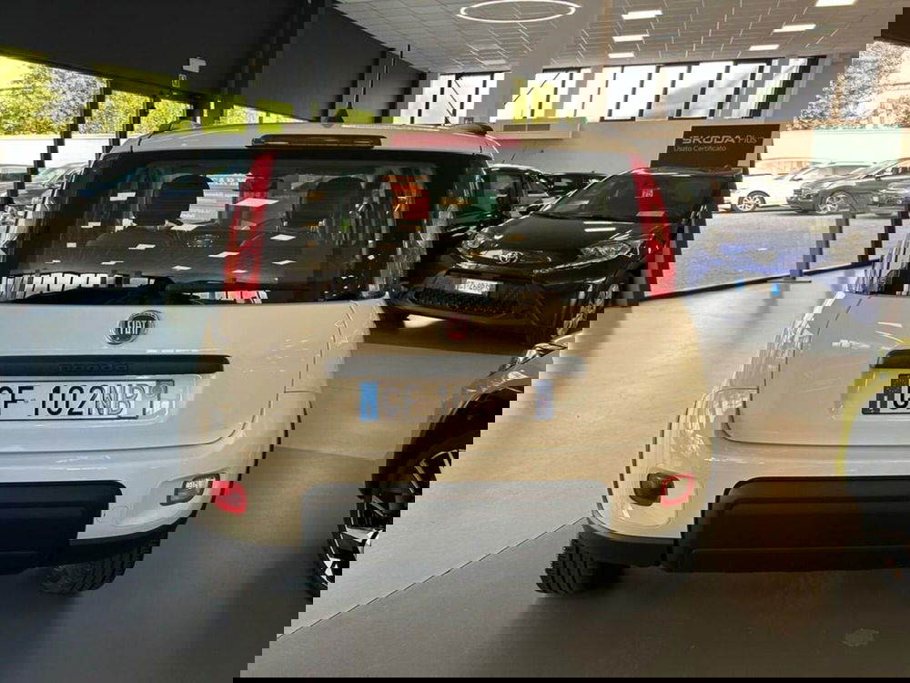 Fiat Panda usata a Piacenza (5)