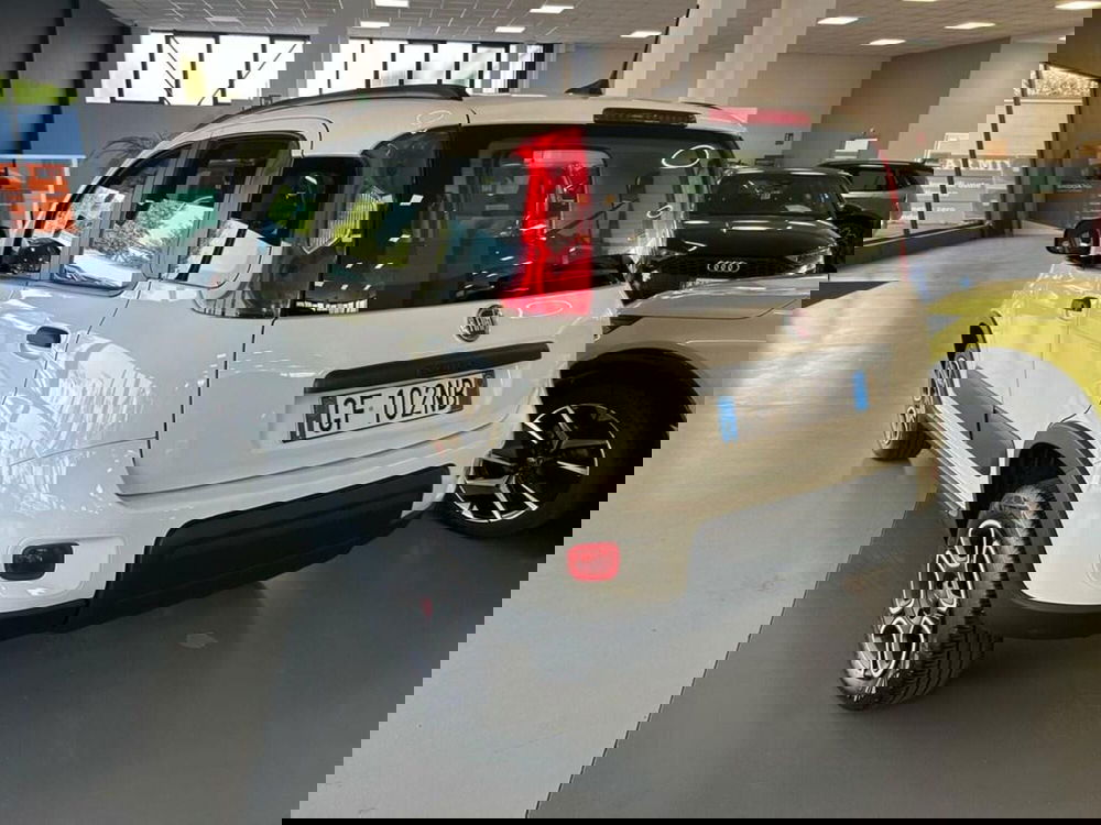 Fiat Panda usata a Piacenza (6)