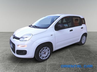 Fiat Panda 1.2 EasyPower Easy del 2019 usata a La Spezia