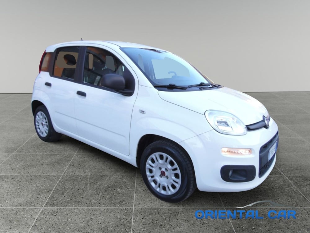 Fiat Panda usata a La Spezia (5)