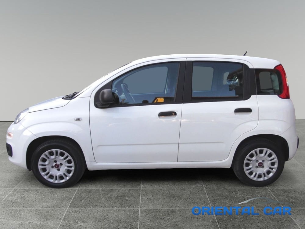 Fiat Panda usata a La Spezia (6)