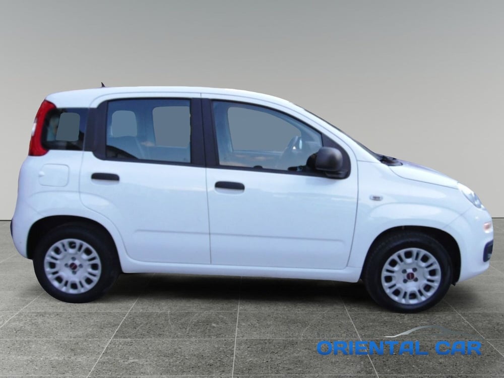 Fiat Panda usata a La Spezia (7)