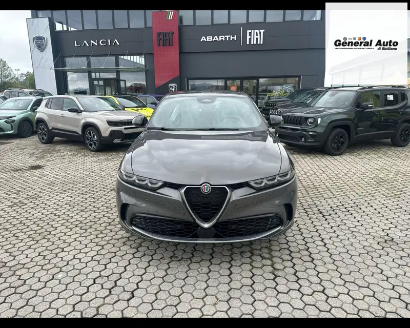 Alfa Romeo Tonale usata a Lucca (2)