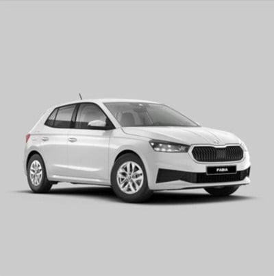 Skoda Fabia 1.0 tsi evo Young Edition 95cv nuova a Reggio Calabria