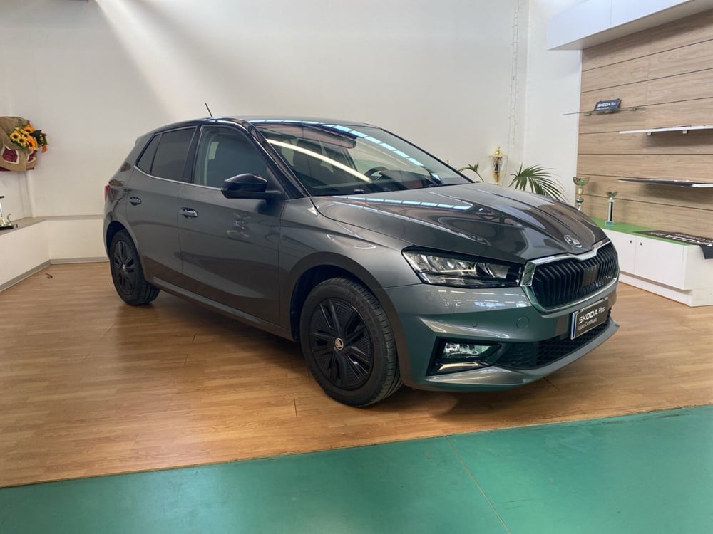 Skoda Fabia usata a Reggio Calabria (8)