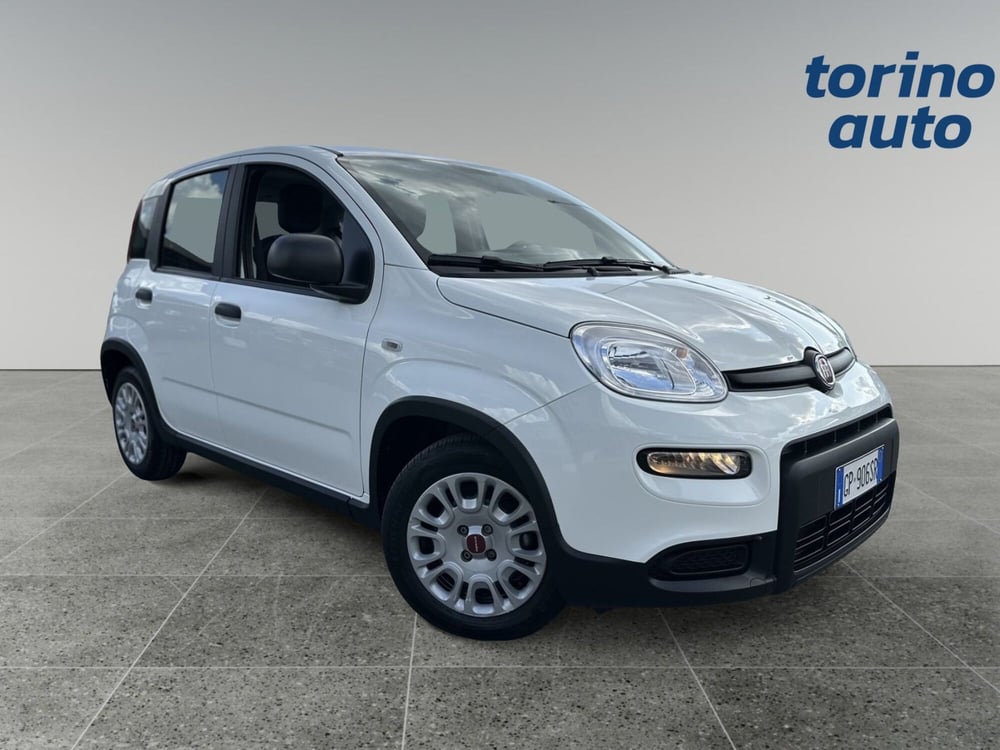 Fiat Panda Cross usata a Torino