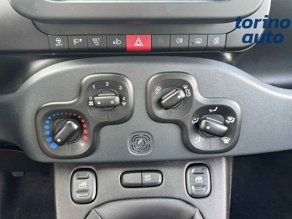 Fiat Panda Cross usata a Torino (17)