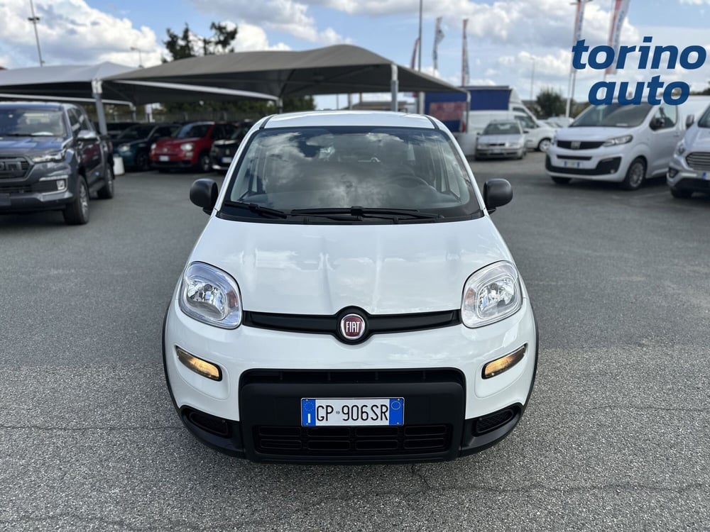 Fiat Panda Cross usata a Torino (2)