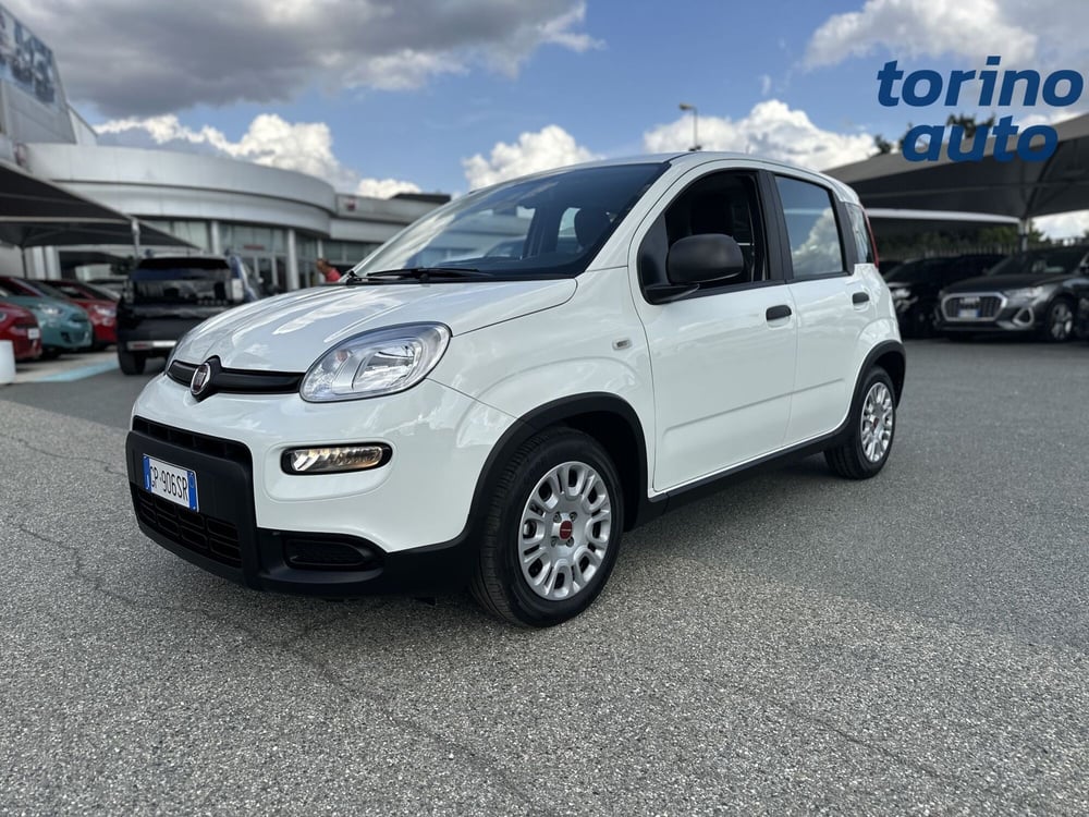 Fiat Panda Cross usata a Torino (3)