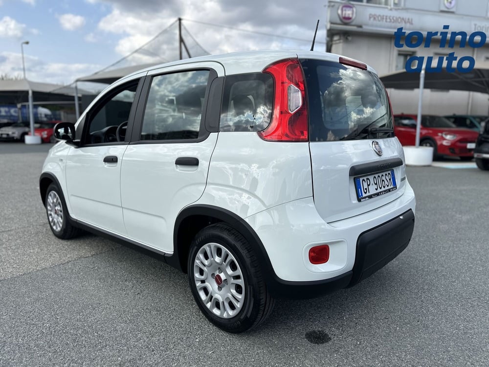 Fiat Panda Cross usata a Torino (5)