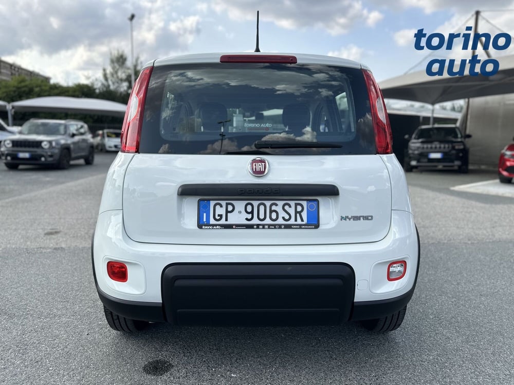 Fiat Panda Cross usata a Torino (6)