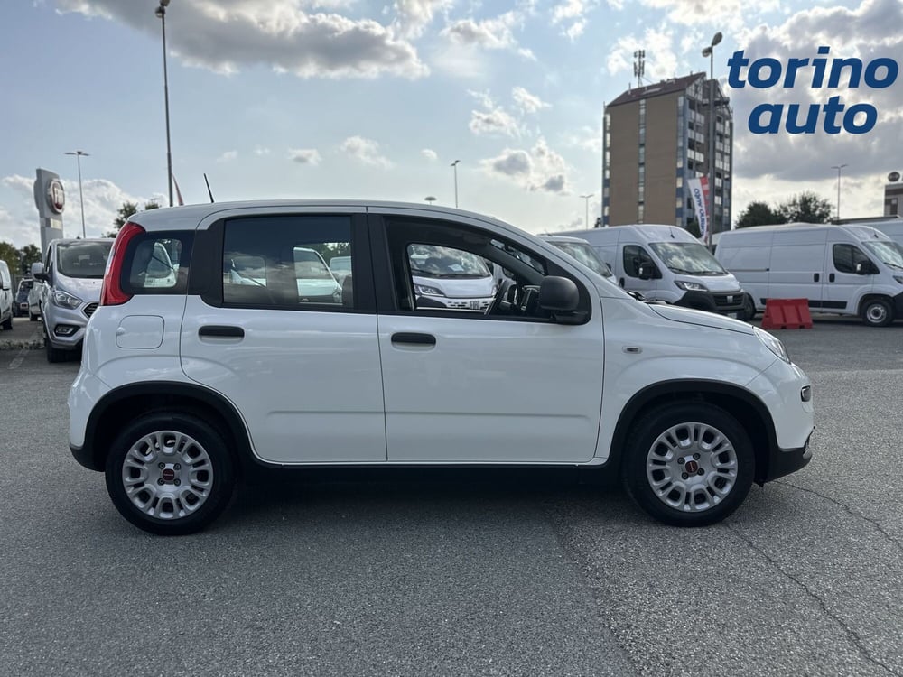 Fiat Panda Cross usata a Torino (8)