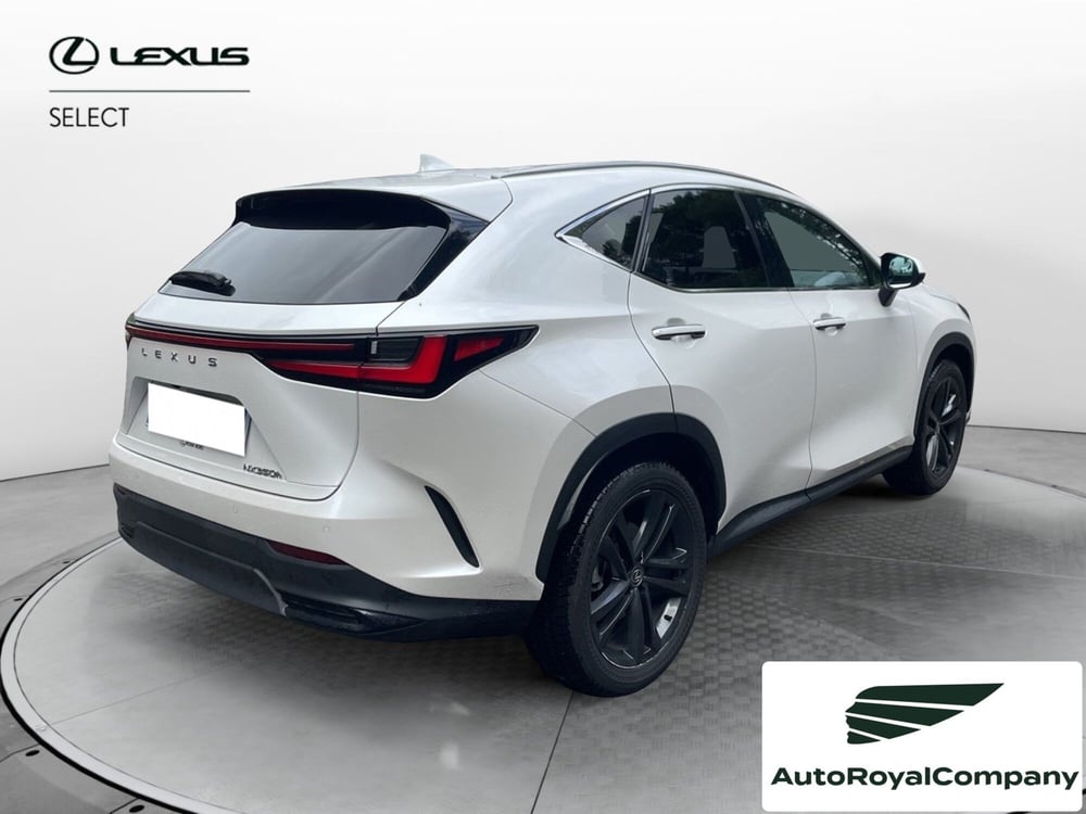 Lexus NX usata a Roma (6)