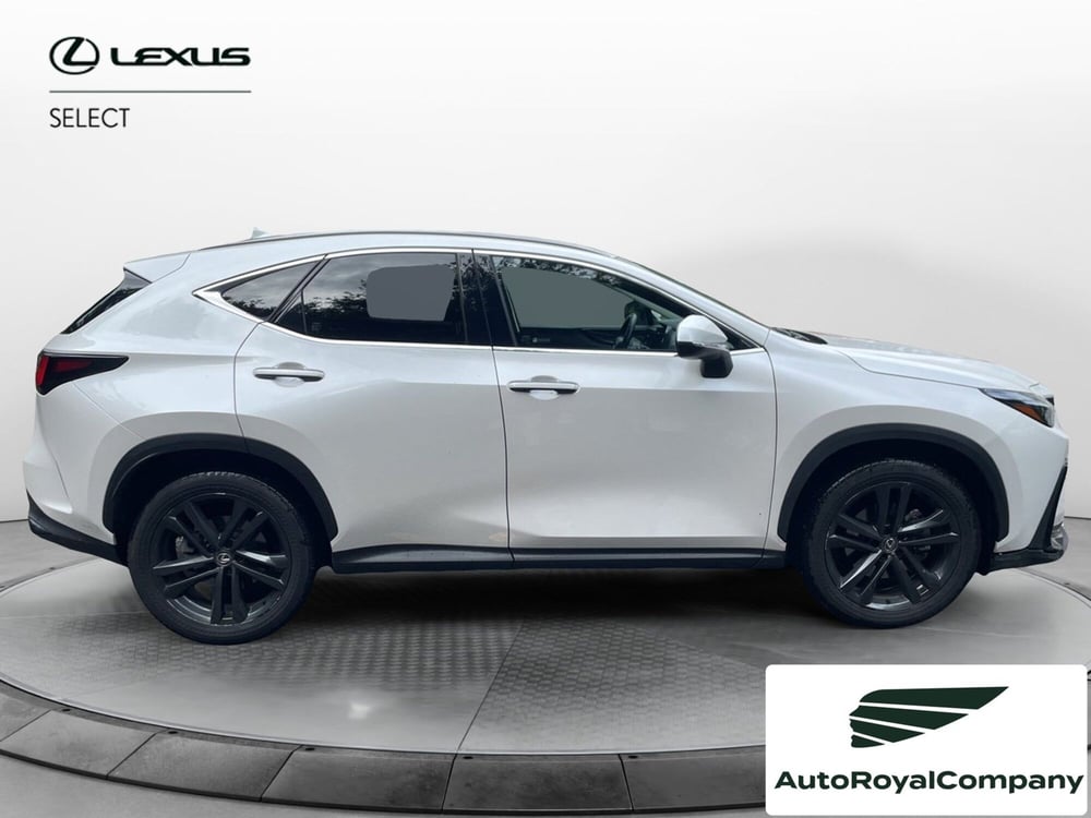 Lexus NX usata a Roma (7)