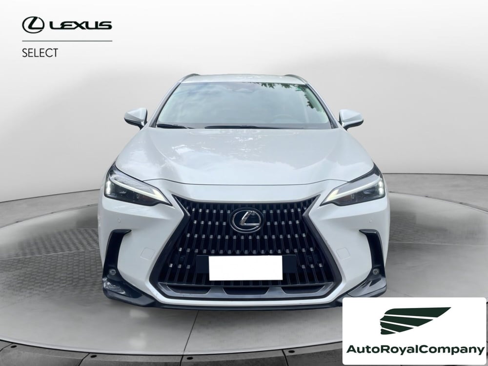 Lexus NX usata a Roma (9)
