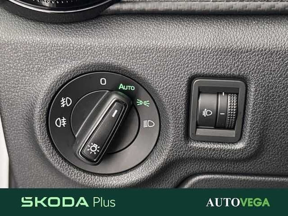 Skoda Fabia usata a Vicenza (13)